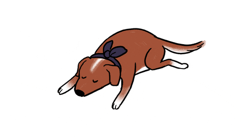 percolategalactic giphyupload dog tired sleepy GIF