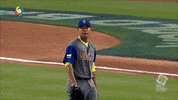 Hands Up Baseball GIF by MLB