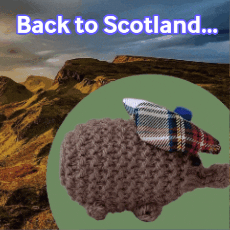 Scotland Scottish GIF by TeaCosyFolk
