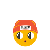 shredfndn kids snowboarding shred upstate ny Sticker