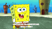 season 9 little yellow book GIF by SpongeBob SquarePants