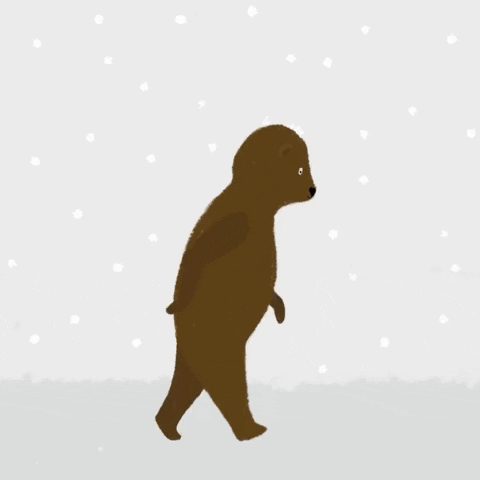 vvals giphyupload snow bear walking GIF