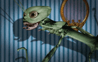 colinraff weird creepy surreal bug GIF