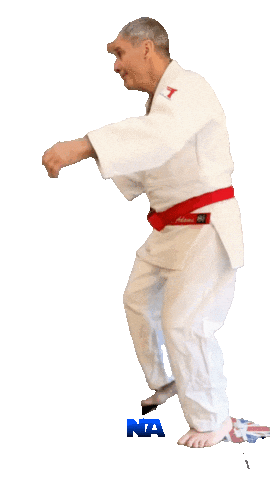 Grappling Martial Arts Sticker by NA Effective Fighting