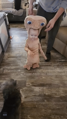 Parents Can't Stop Laughing at Sight of Toddler in ET Costume