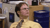dwight schrute GIF