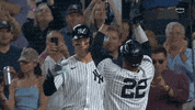 Celebrate Major League Baseball GIF by MLB