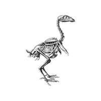 Collecting Black And White Sticker by The Wild Curiosity