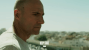 angry fox GIF