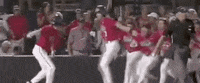 World Series Baseball GIF by NCAA Championships
