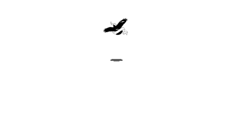 Cherry Creek Sticker by Freebird Stores