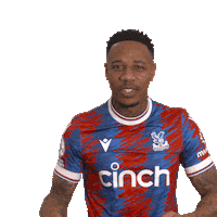 Lets Go Win Sticker by Crystal Palace Football Club