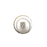 Sultanes De Monterrey Sticker by Sultanes Oficial