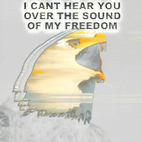 schizobox giphyupload america united states giphycreatortest GIF