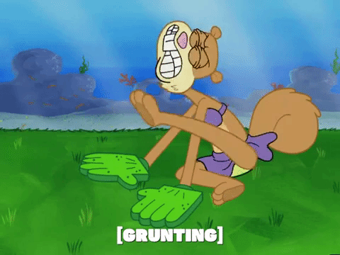 season 5 episode 10 GIF by SpongeBob SquarePants