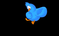 Yellowroll happy excited animals bird GIF