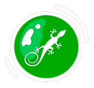 Iguanap Sticker by Iguana Producciones