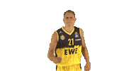 Ewe Baskets Basketball Sticker by EWE Baskets Oldenburg
