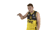 Ewe Baskets Basketball Sticker by EWE Baskets Oldenburg