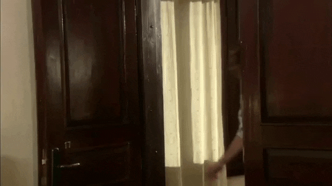 novela GIF by Band