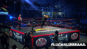 wrestling Wrestle GIF by Lucha Libre AAA