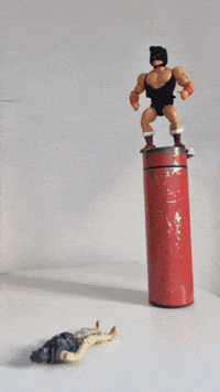 Stop Motion Wwe GIF by dan.bahia.dan