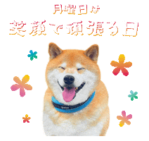 Shiba Maru Sticker by marutaro