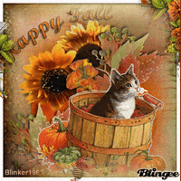 happy picture GIF