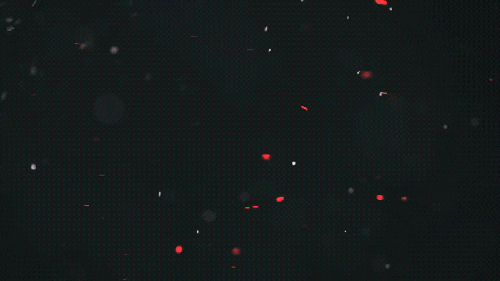 Kulchytskiy giphyupload GIF