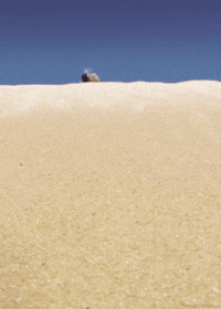 day moment GIF