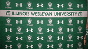 Iwutitans Tgoe GIF by iwusports