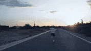 Happy Summer GIF by Red Bull Records