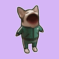 Happy Cat GIF