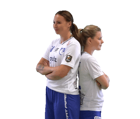 Floorball Salibandy Sticker by F-liiga