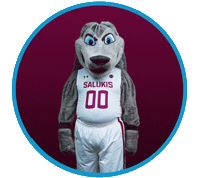 Dawg Go Dawgs Sticker by SIU Student Center