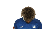 Hoffenheim Rutter Sticker by Bundesliga