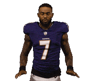 Football Calm Down Sticker by Baltimore Ravens