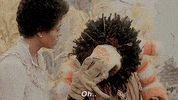 the wiz GIF