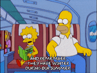 homer simpson GIF