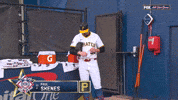 Baseball Atlanta GIF by MLB