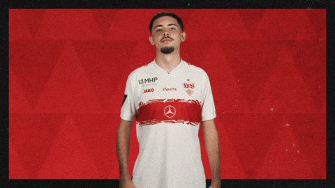 Vfb Stuttgart Football GIF by Bundesliga
