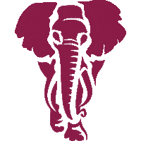 Amarula_Official amarula marula rulanation amarulacream Sticker