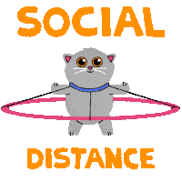 Animated Sticker