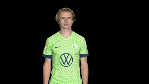 Bundesliga No GIF by VfL Wolfsburg