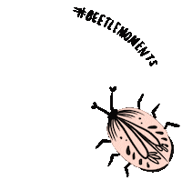 defycommunity sticker defy womxn peachbaby Sticker