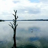 Water Fall GIF by Learner Circle