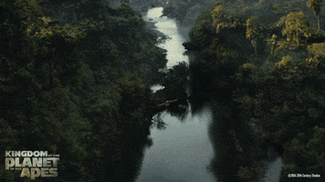 Trailer gif. A post-apocalyptic scene from the movie "Kingdom of the Planet of the Apes" shows a single eagle flying along a wide river in a vast ravine overgrown with lush greenery. The dilapidated remains of buildings can be seen peeking through the greenery along the sides of the ravines.