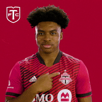 Represent Major League Soccer GIF by Toronto FC