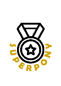Studentenreiter Sticker by reitgruppeaachen