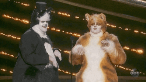 James Corden Cats GIF by The Academy Awards